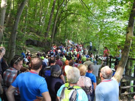 Pomlad v prleških goricah 2017 77